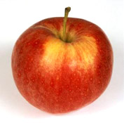 Pomme bicolore Royal Gala